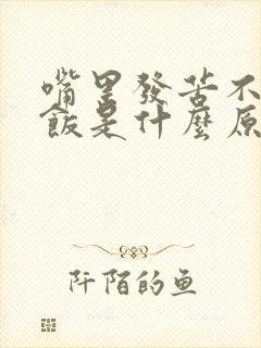 嘴里发苦不想吃饭是什么原因造成的