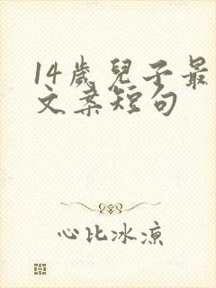 14岁儿子最火文案短句