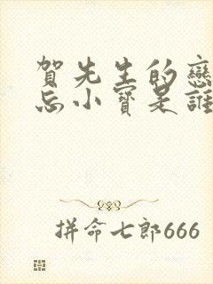 贺先生的恋恋不忘小宝是谁的孩子