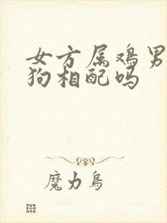 女方属鸡男方属狗相配吗