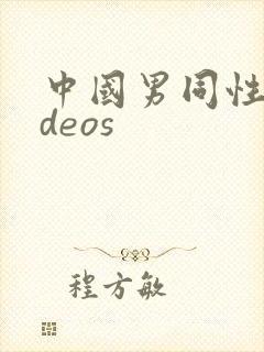 中国男同性videos