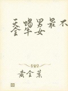 天蝎男最不敢惹金牛女