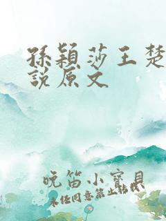 孙颖莎王楚钦小说原文