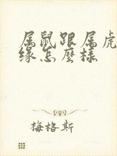 属鼠跟属虎的姻缘怎么样