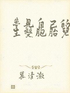 梦见自己的老婆生双胞胎儿子怎么回事