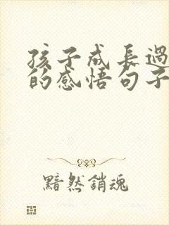 孩子成长过程中的感悟句子