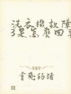 洗衣机故障码e3是怎么回事