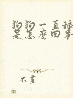 狗狗一直舔爪子是怎么回事