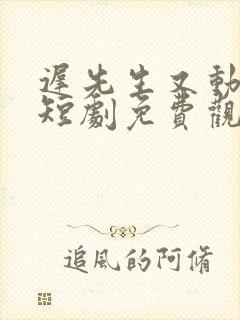 迟先生又动心了短剧免费观看全集高