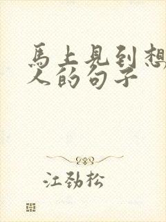 马上见到想见的人的句子