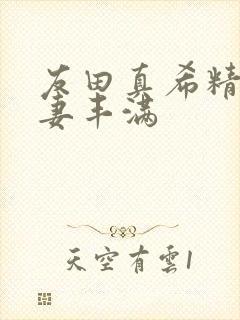 友田真希精品人妻丰满