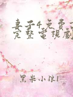 妻子4免费高清完整电视剧