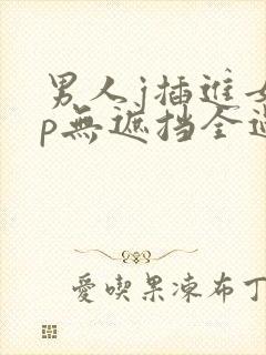 男人j插进女人p无遮挡全过程