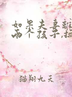 如果夫妻离婚有两个孩子,抚养权怎么判