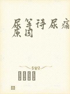 尿等待尿痛什么原因