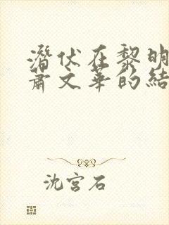 潜伏在黎明之前萧文华的结局