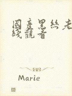 国产黑丝老师在线观看