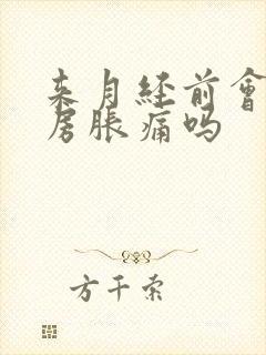 来月经前会有乳房胀痛吗