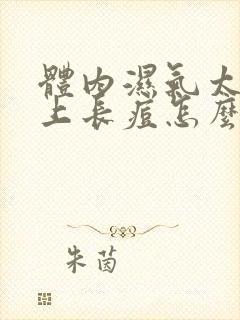 体内湿气太重背上长痘怎么才可以好