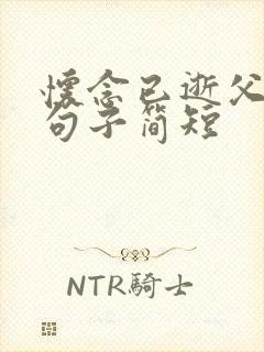 怀念已逝父亲的句子简短