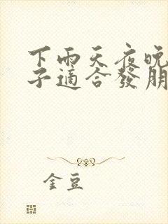 下雨天夜晚的句子适合发朋友圈