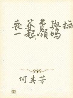 丧葬费与抚恤金一起领吗