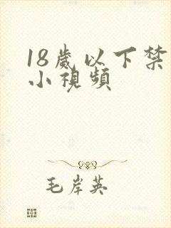 18岁以下禁看小视频