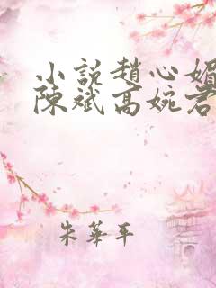 小说赵心媚主角陈斌高婉君