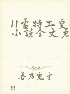 11处特工皇妃小说全文免费阅读