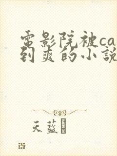 电影院被cao到爽的小说