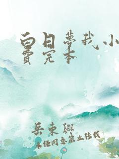 白日梦我小说免费完本