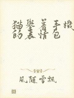 猫举着手机自拍的表情包