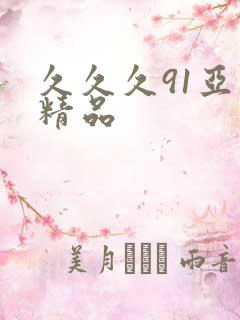 久久久91亚洲精品