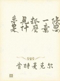 梦见抓一条大鱼是什么意思