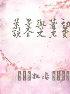 叶晨与萧初然小说全文免费阅读