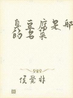 臭豆腐是哪个省的名菜