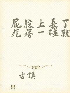 屁股上长了一个疙瘩一碰就疼