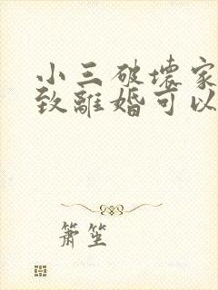 小三破坏家庭导致离婚可以起诉赔偿吗