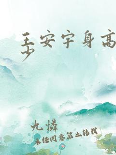 王安宇身高是多少