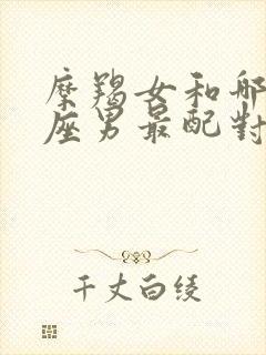 摩羯女和哪个星座男最配对