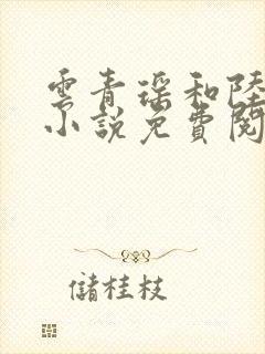 云青瑶和陆仁的小说免费阅读