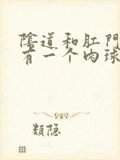 阴道和肛门中间有一个肉球