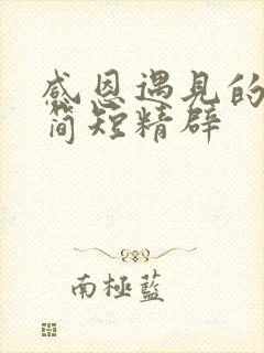 感恩遇见的话语简短精辟