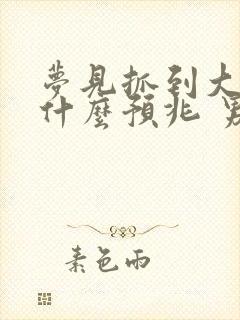 梦见抓到大鱼是什么预兆 男性