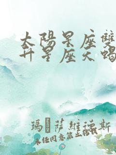 太阳星座双子上升星座天蝎