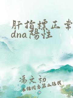 肝指标正常病毒dna阳性