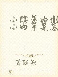 小阴唇内侧长了小肉芽是怎么回事