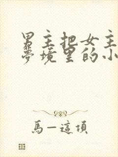 男主把女主拖进梦境里的小说