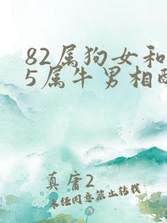 82属狗女和85属牛男相配吗