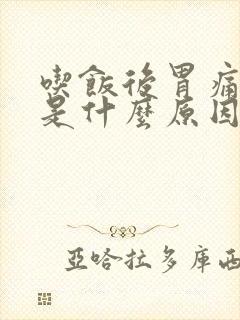 吃饭后胃痛想吐是什么原因